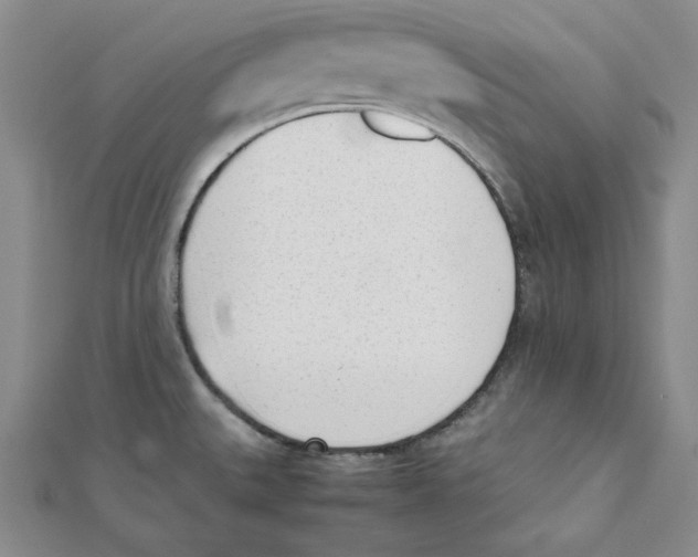 X0000112051527200909010932