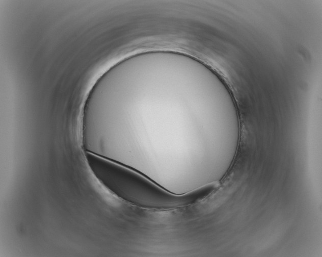 X0000112051528200909010932