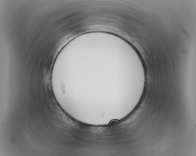 X0000112051529200909010932