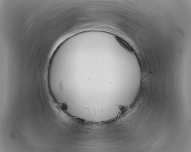 X0000112051530200909010932