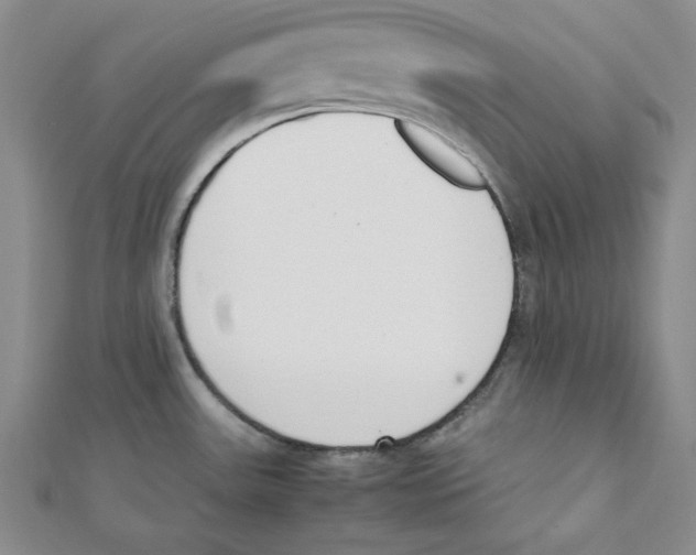 X0000112051531200909010932