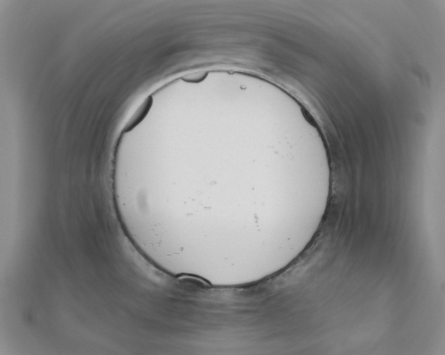 X0000112051532200909010932