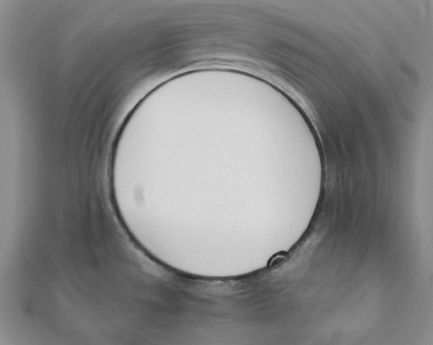 X0000112051533200909010932