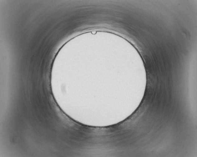 X0000112051534200909010932