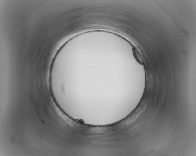 X0000112051535200909010932