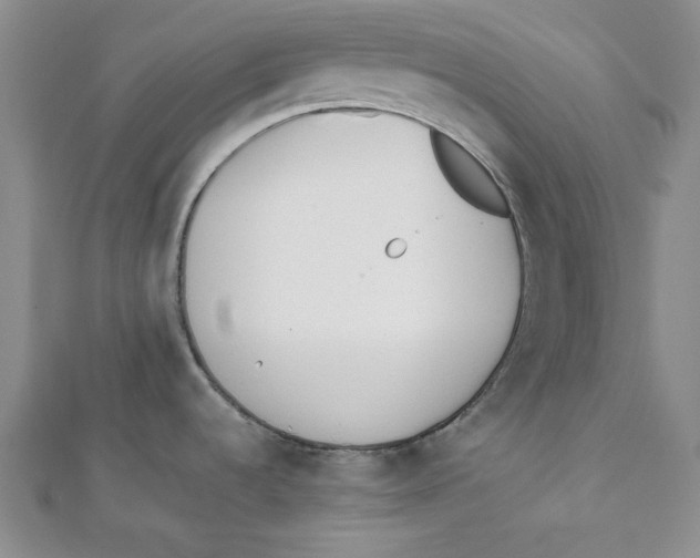 X0000112051536200909010932