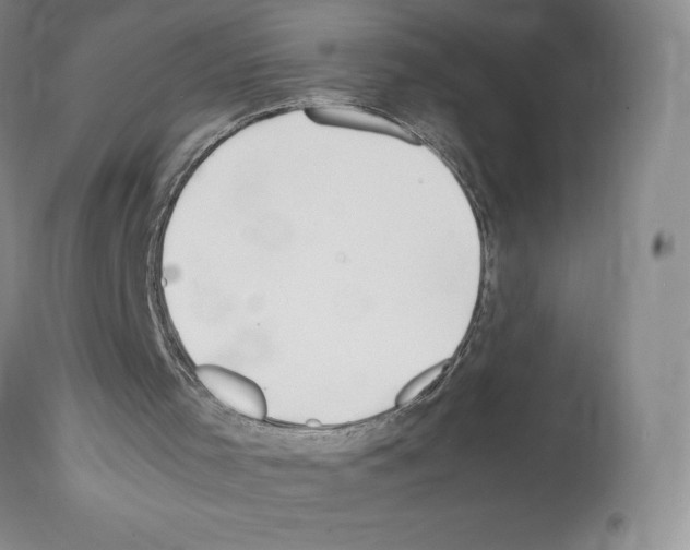 X0000112050001200909151014