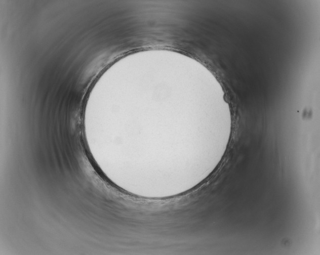 X0000112050002200909151014
