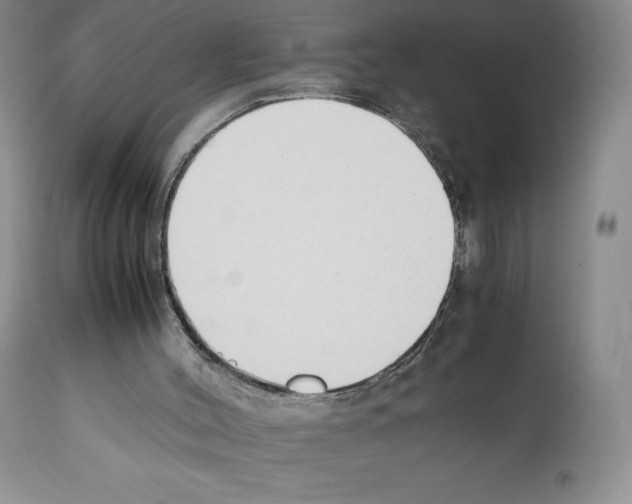 X0000112050004200909151014