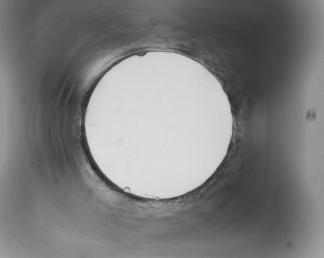 X0000112050005200909151014