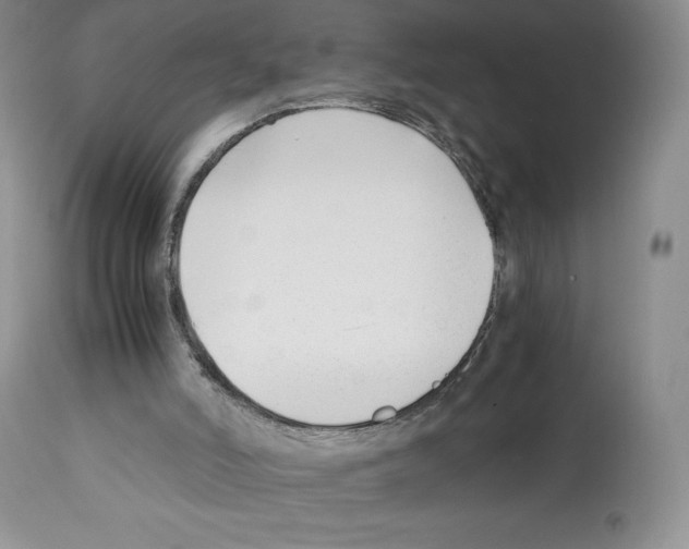 X0000112050006200909151014