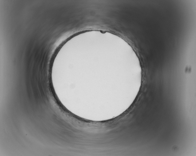 X0000112050008200909151013