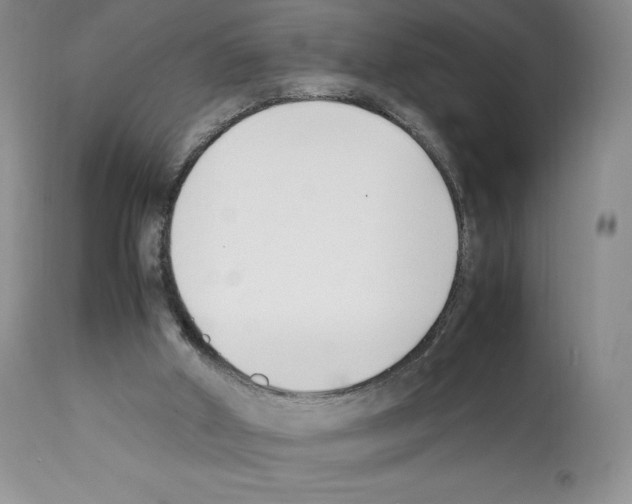 X0000112050010200909151013