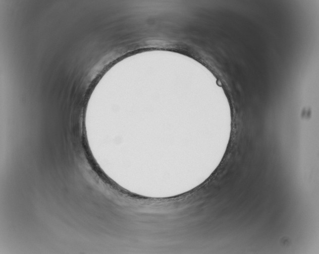 X0000112050011200909151013