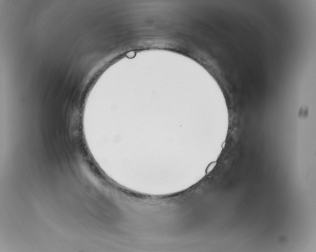 X0000112050012200909151013