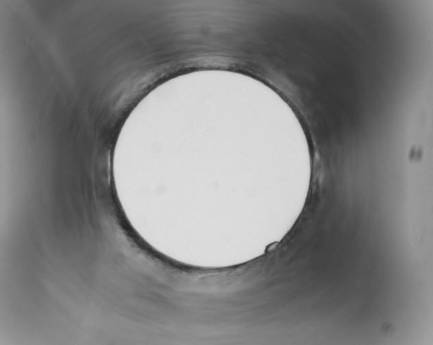 X0000112050013200909151013