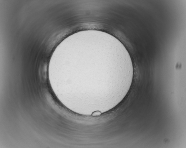 X0000112050014200909151013