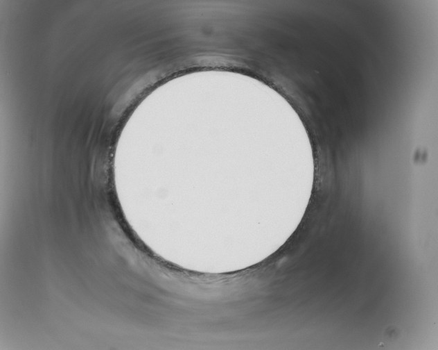X0000112050015200909151013