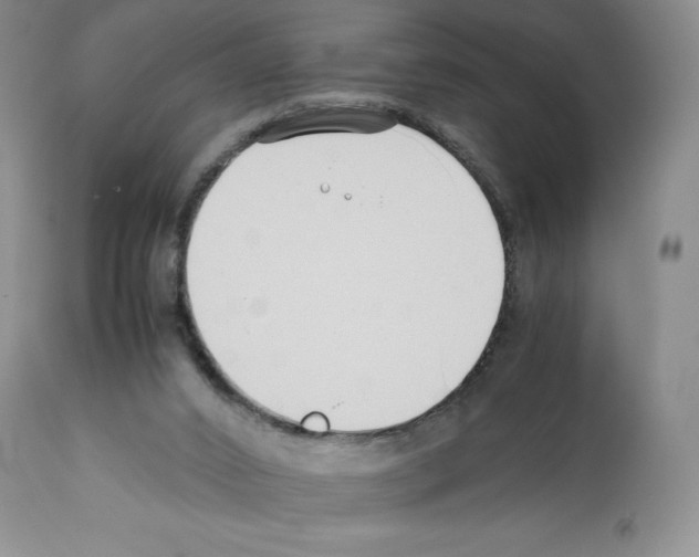 X0000112050016200909151013