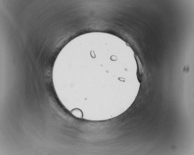 X0000112050017200909151013