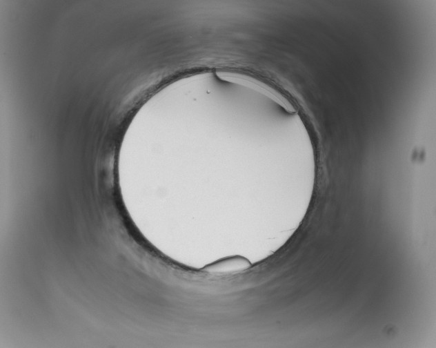 X0000112050019200909151013