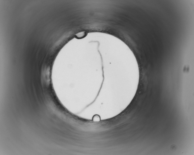 X0000112050020200909151013