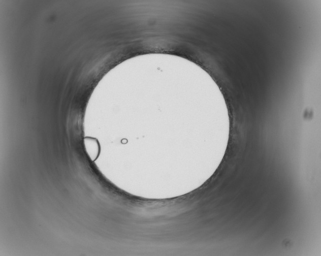 X0000112050021200909151013