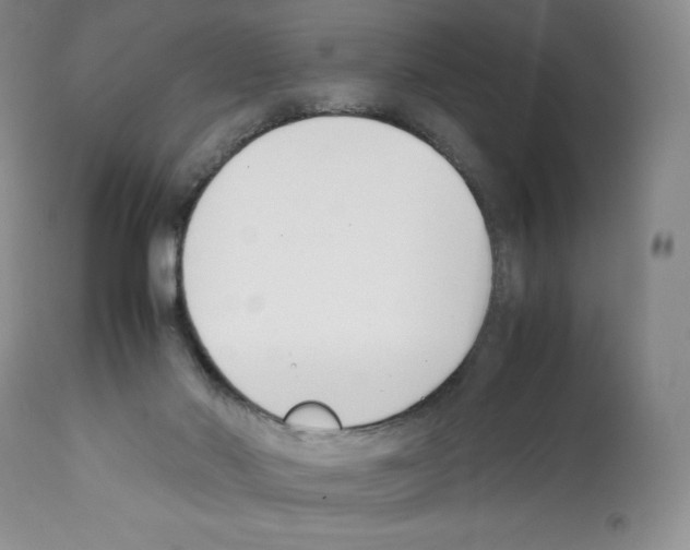 X0000112050022200909151013