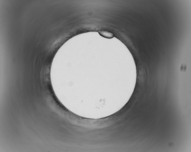 X0000112050023200909151013