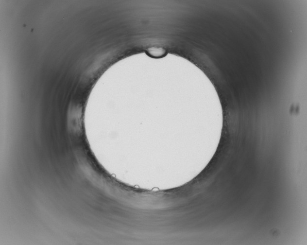 X0000112050024200909151013