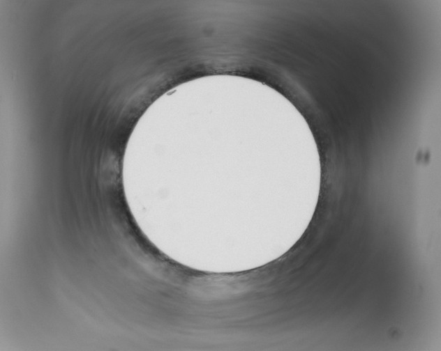 X0000112050025200909151013