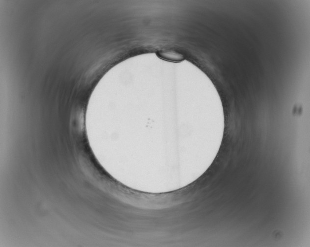 X0000112050027200909151013