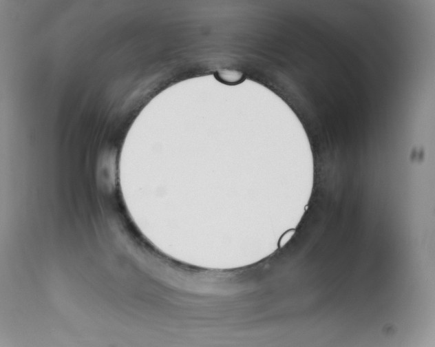 X0000112050028200909151013