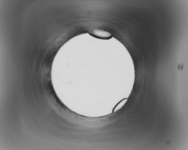 X0000112050031200909151013