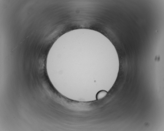 X0000112050032200909151013