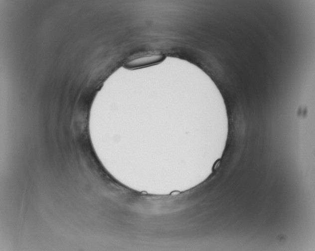 X0000112050033200909151013