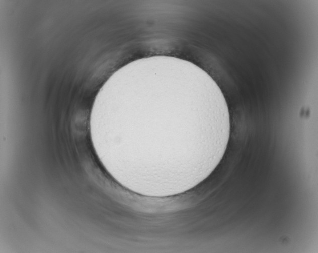 X0000112050034200909151013