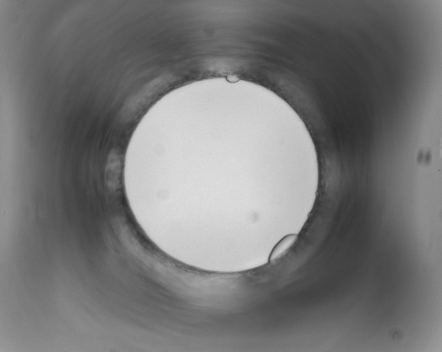 X0000112050036200909151013