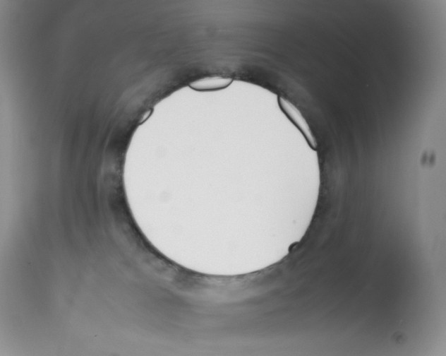 X0000112050037200909151013