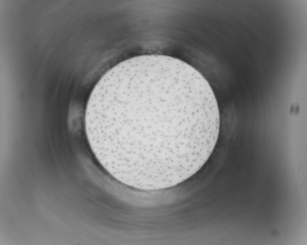 X0000112050038200909151013