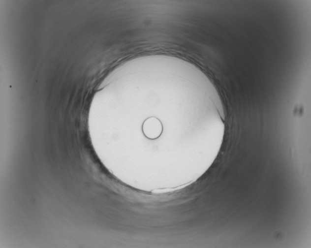X0000112050039200909151013
