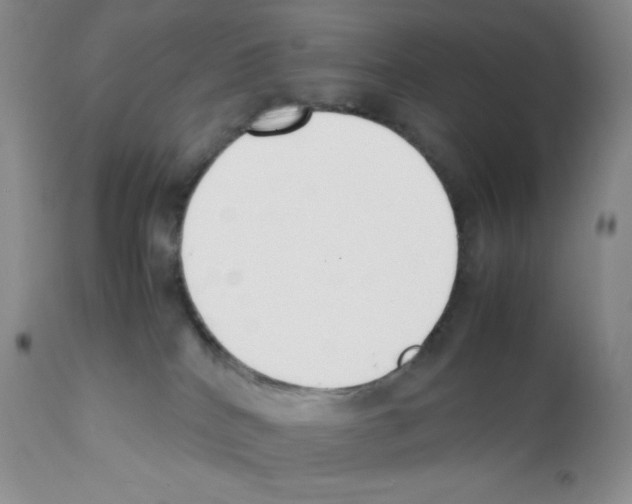 X0000112050040200909151013
