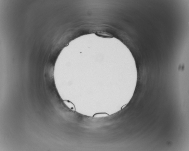 X0000112050041200909151013