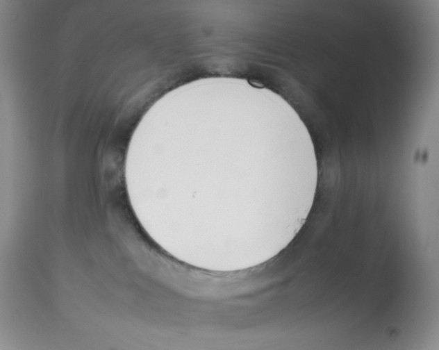 X0000112050043200909151013