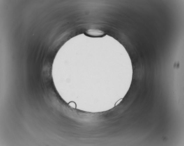 X0000112050044200909151013