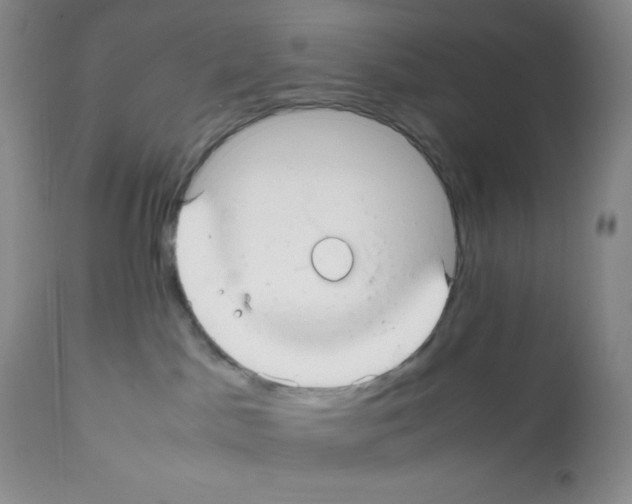 X0000112050045200909151013