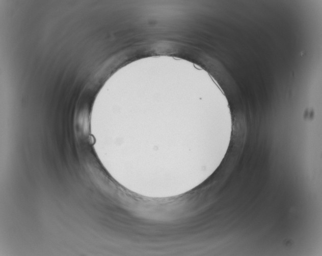 X0000112050046200909151013