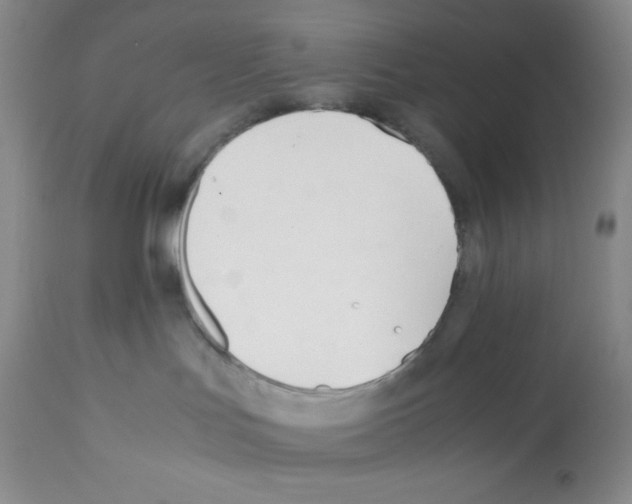 X0000112050047200909151013