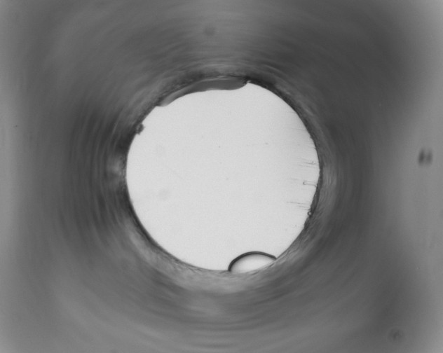 X0000112050048200909151013