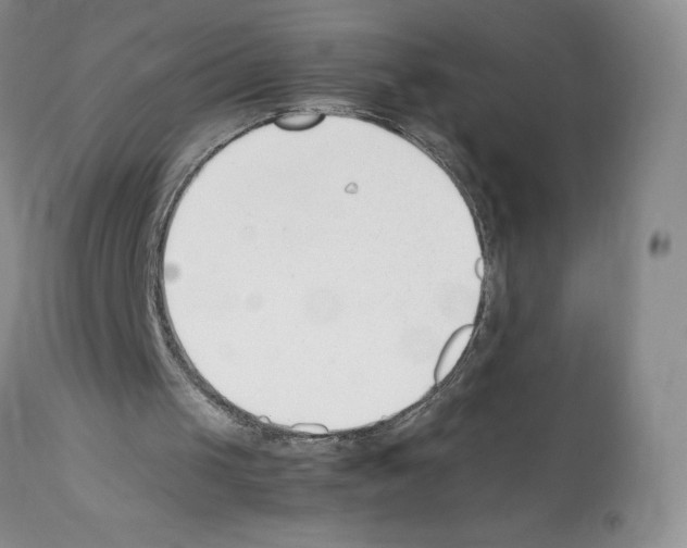X0000112050049200909151012